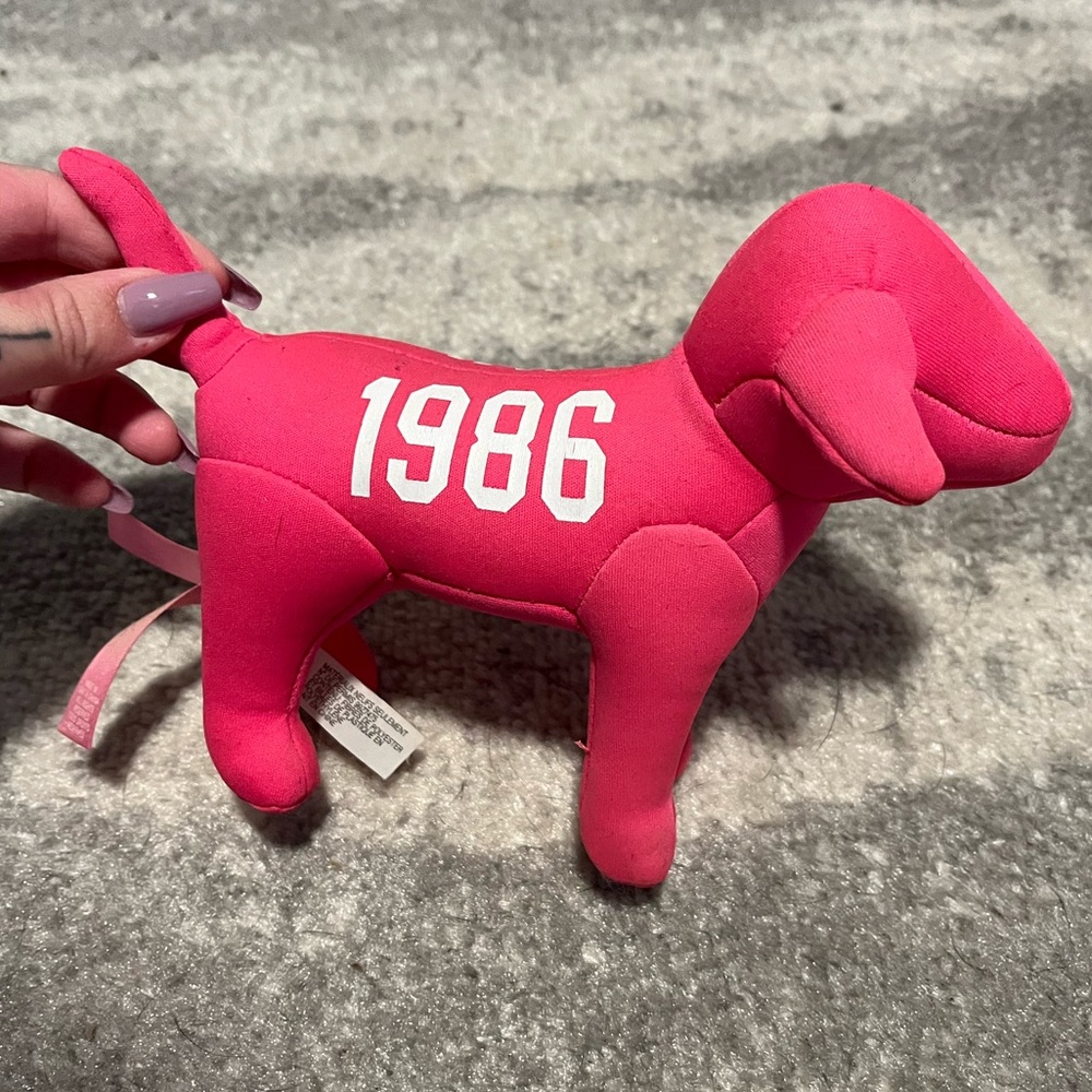 VS PINK Dog